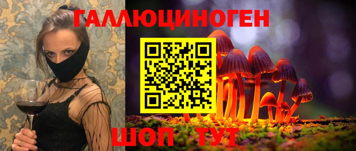 Псилоцибиновые грибы Psilocybine cubensis Грозный