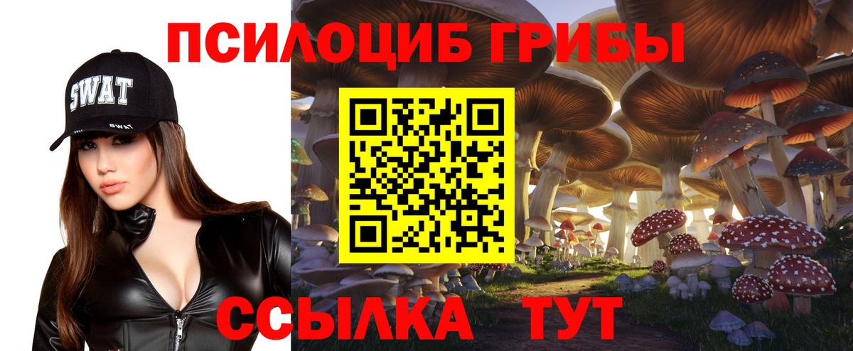 Псилоцибиновые грибы Psilocybe  Вход с VPN  Грозный 